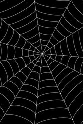 Halloween Beyaz Örümcek Ağı 3,6 metre çapında