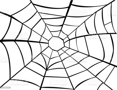 Halloween Siyah Örümcek Ağı 2,5 metre çapında