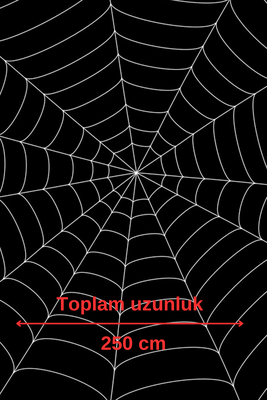 Halloween Beyaz Örümcek Ağı 2,5 metre çapında